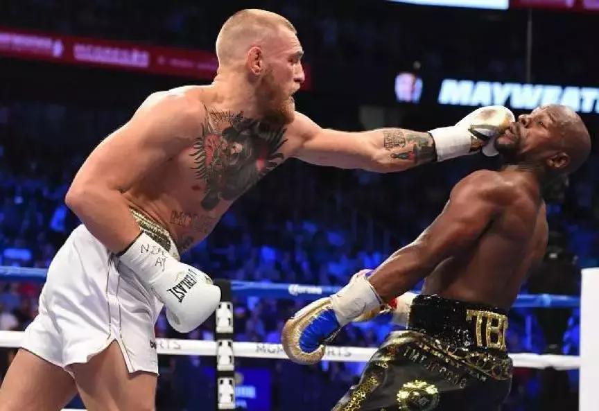 世界職業(yè)拳擊比賽視頻,世界職業(yè)拳擊比賽視頻，一場視覺盛宴與爭議的交織