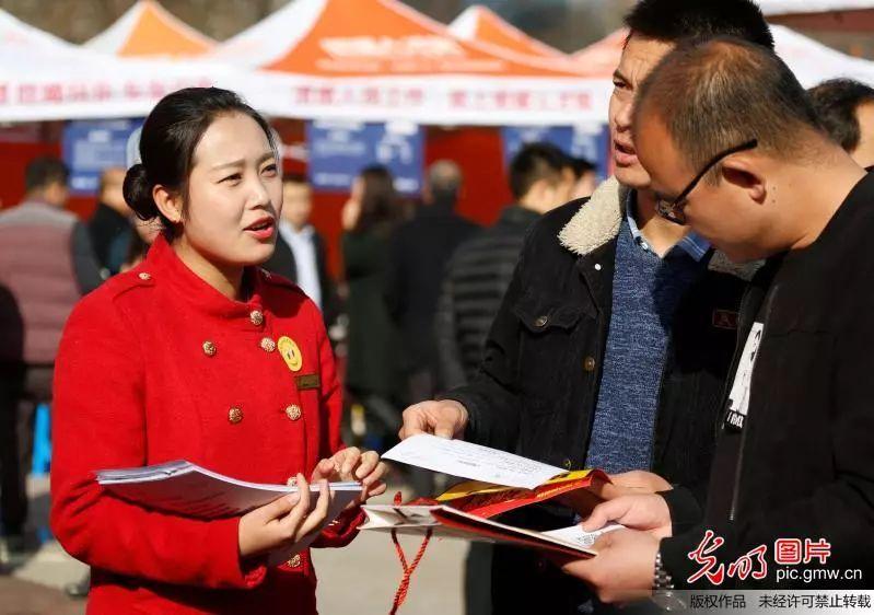 眉山東坡區(qū)最新職位招聘，職場人的首選選擇