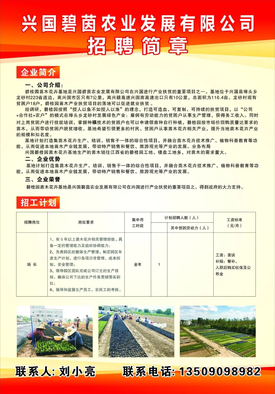興國臨時工招聘信息，科技助力求職新紀(jì)元，輕松找到心儀工作