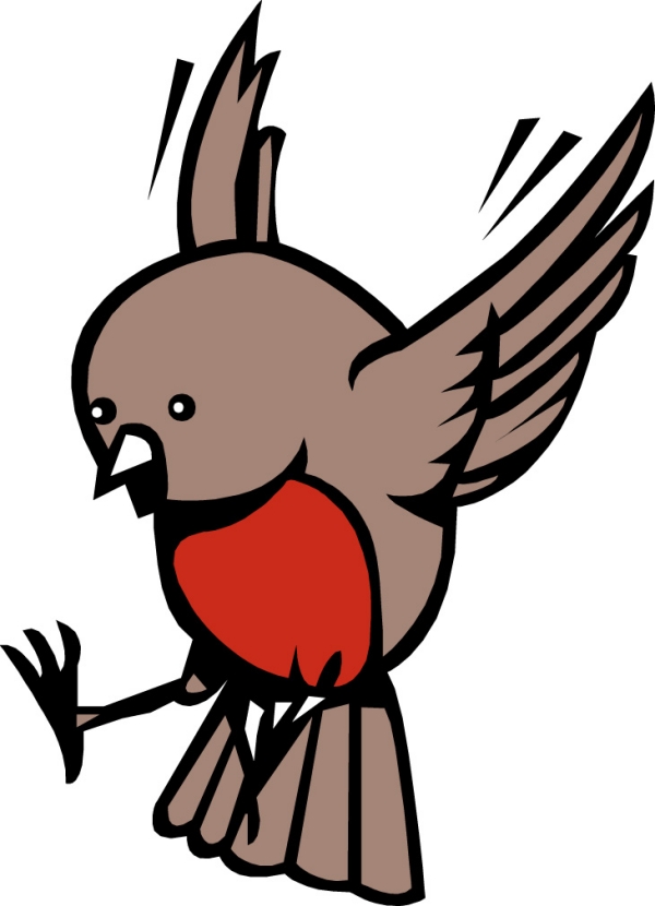 動漫鳥圖片——彩虹之巔的夢幻飛翔世界