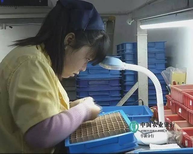 阜新縣最新職位招聘,阜新縣最新職位招聘，一場工作與生活交織的溫馨故事