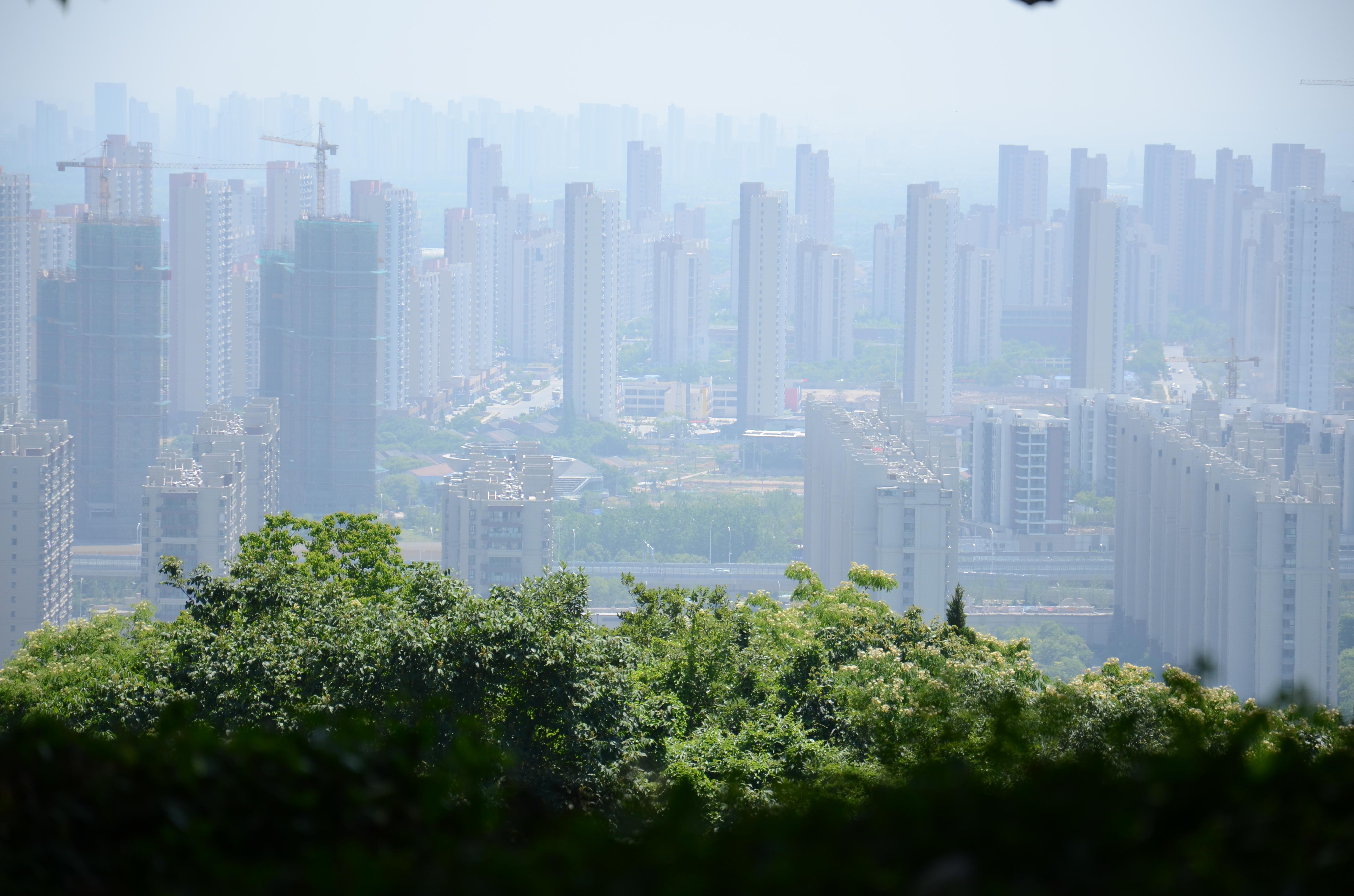 無(wú)錫太湖新城最新動(dòng)態(tài)揭秘，巷弄深處的美食秘境探索