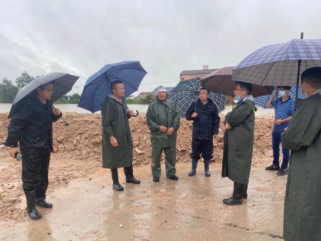 蔡甸最新疫情動態(tài)更新??