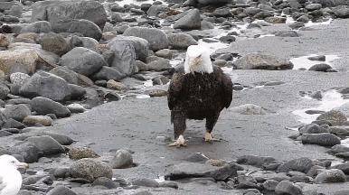 美國最新動態(tài)概覽