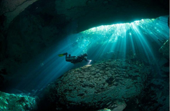 IMP最新觀點闡述