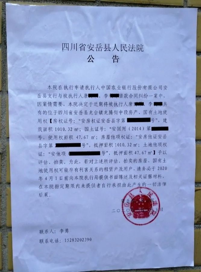 安岳亮劍行動最新動態(tài)深度分析與觀點(diǎn)闡述