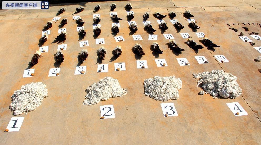 施甸最新疫情動態(tài)及防疫任務(wù)指南與技能學(xué)習(xí)全攻略