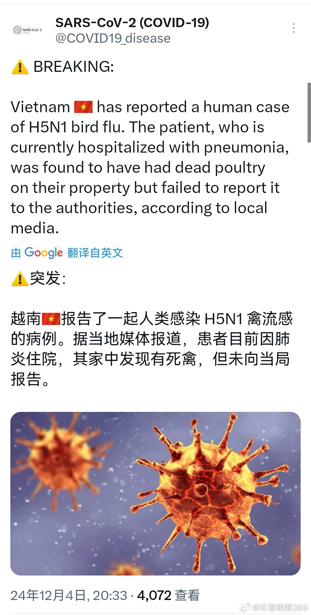 越南肺炎最新動態(tài)與小巷深處的獨特風味