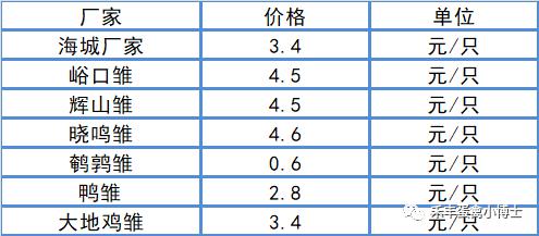 時代背景下的雛雞市場最新價格觀察