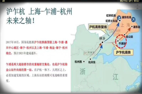 乍浦最新動態(tài)，最新消息匯總