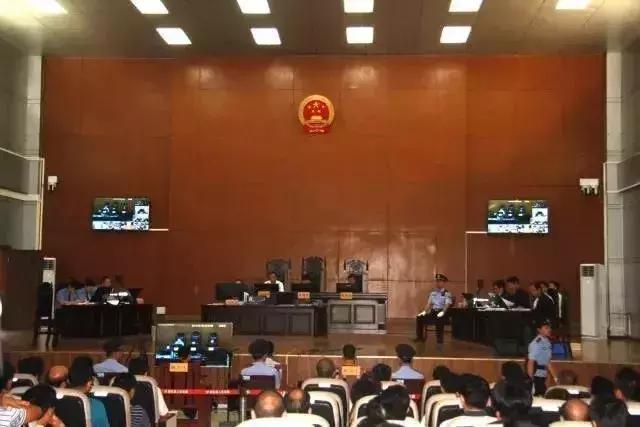 寧思專最新動(dòng)態(tài)更新