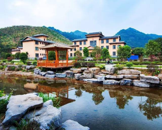 廣西蒙山高速最新動態(tài)，駛向自然美景，探尋內(nèi)心平靜的旅程