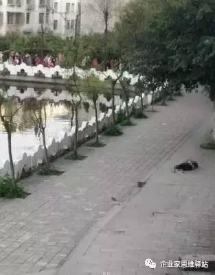 太伏中學慘案最新情況更新