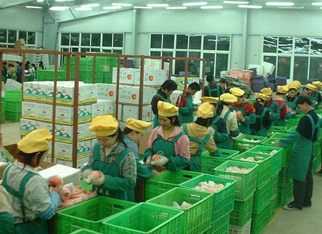 最新養(yǎng)雞場普工招聘啟事，攜手共創(chuàng)自信與成就，共啟勵志人生之旅