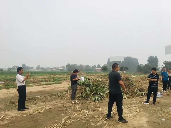 永年區(qū)最新工程項目，時代印記與未來展望之路